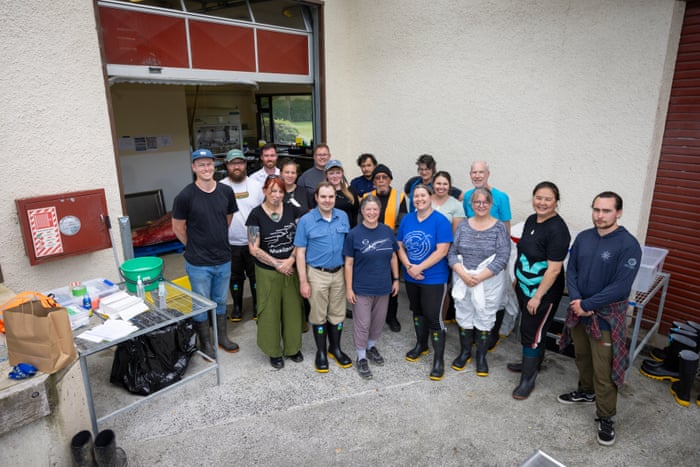 Dissecting the world’s rarest whale – in pictures Some of the Māori representatives, Department of Conservation staff and scientists who worked on the dissection. They described themselves as tired but pleased with progress. Their findings included the discovery that spade-toothed whales have nine stomach chambers and vestigial teeth in the upper jaw.Photograph: Derek Morrison
