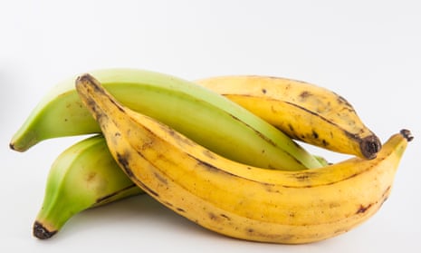 Yellow and green plantain