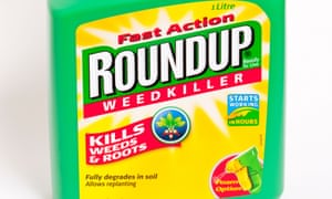 Roundup weedkiller