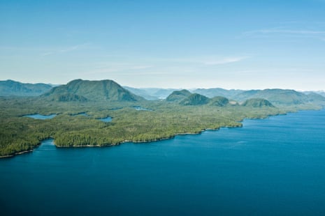 An aerial view of marshlands and mountains that make up part of the Great Bear Rainforest on the central Pacific coast of British Columbia, Canada.