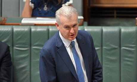Senior government minister Tony Burke speaks during question time
