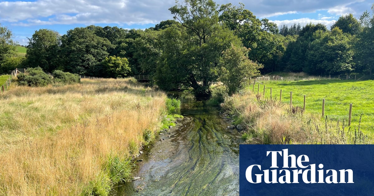 Хелена ХортънПотоците или бекове които минават през фермата на Джеймс