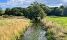 'The wildlife that has come is phenomenal': the UK farmers holding off floods the natural way