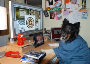 a dog in a t-shirt in front of a computer