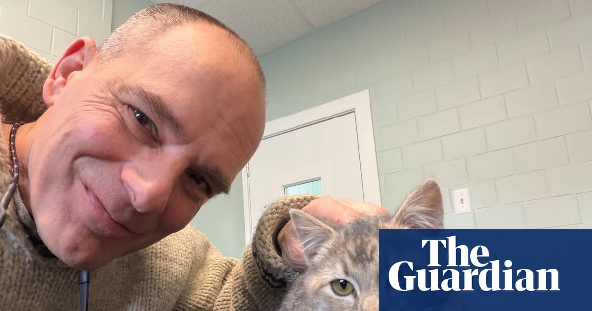 वह पालतू जानवर जिसे मैं कभी नहीं भूलूंगा: चिली, वह बिल्ली का बच्चा जिसे मैंने ठंड से मरने से बचाया था