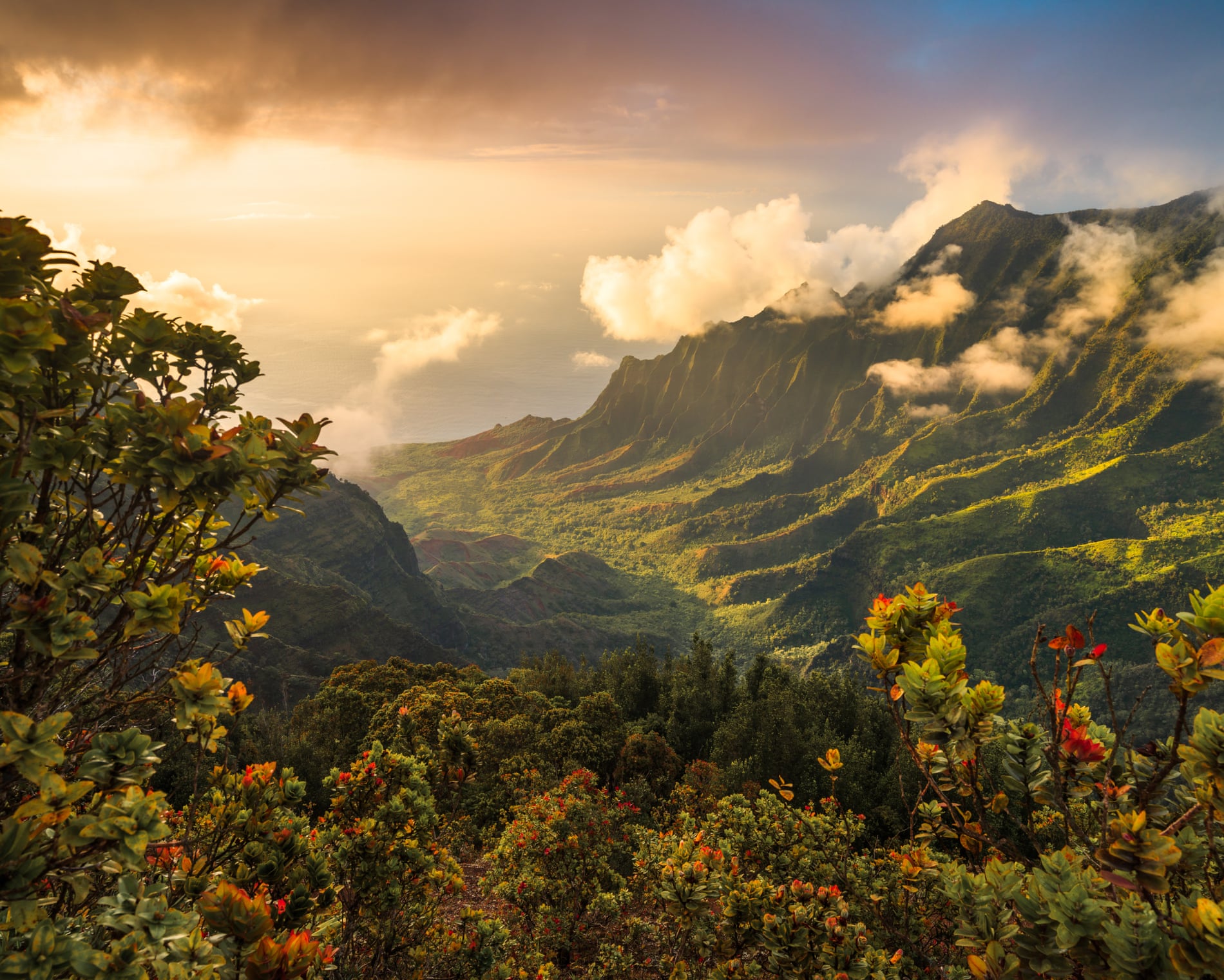 Tourists killed in copter crash