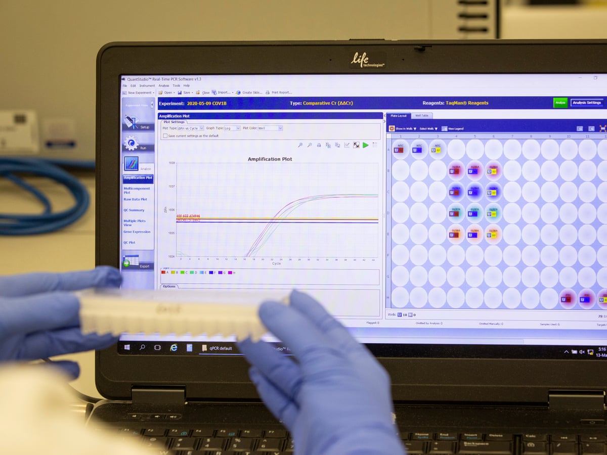 Covid Testing Failures At Uk Lab Should Have Been Flagged Within Days Coronavirus The Guardian