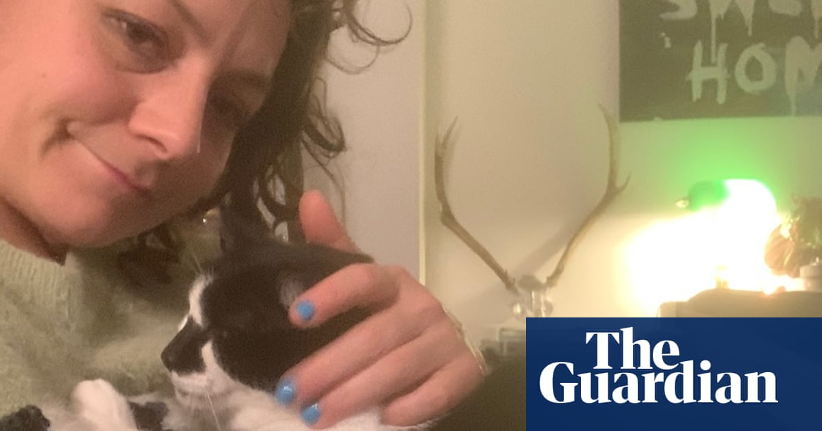 Домашният любимец, който никога няма да забравя: Джесика Фостекю за котката Конрад, „която гледа, отблъсната, когато правя секс“