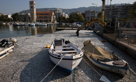 Dead fish near boats, as tonnes of it have washed up in the port of Volos, Greece.