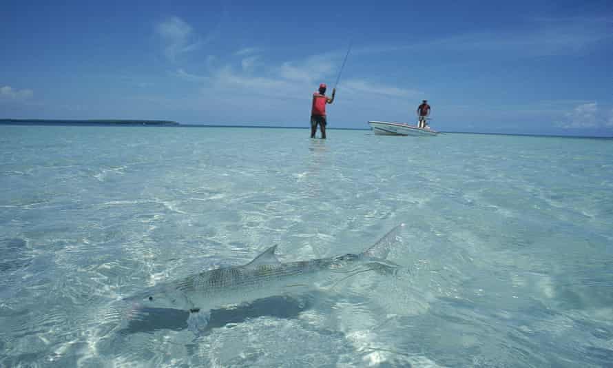 Two fishers are seen in the ocean as a bonefish swims across, Florida, US.