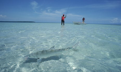 Two anglers fishing in shallow water off Florida as a bonefish swims by