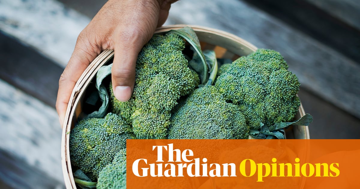 The Guardian view on food and farming: climate chaos hits crops hard – and that should worry everyone