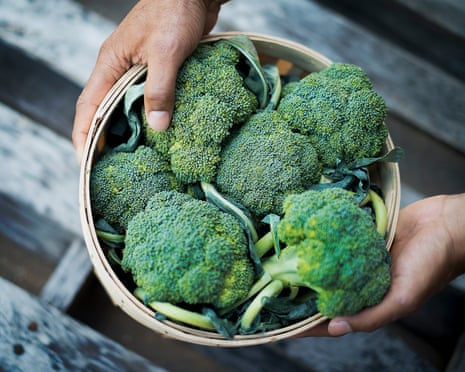 Broccoli heads in a bowl
