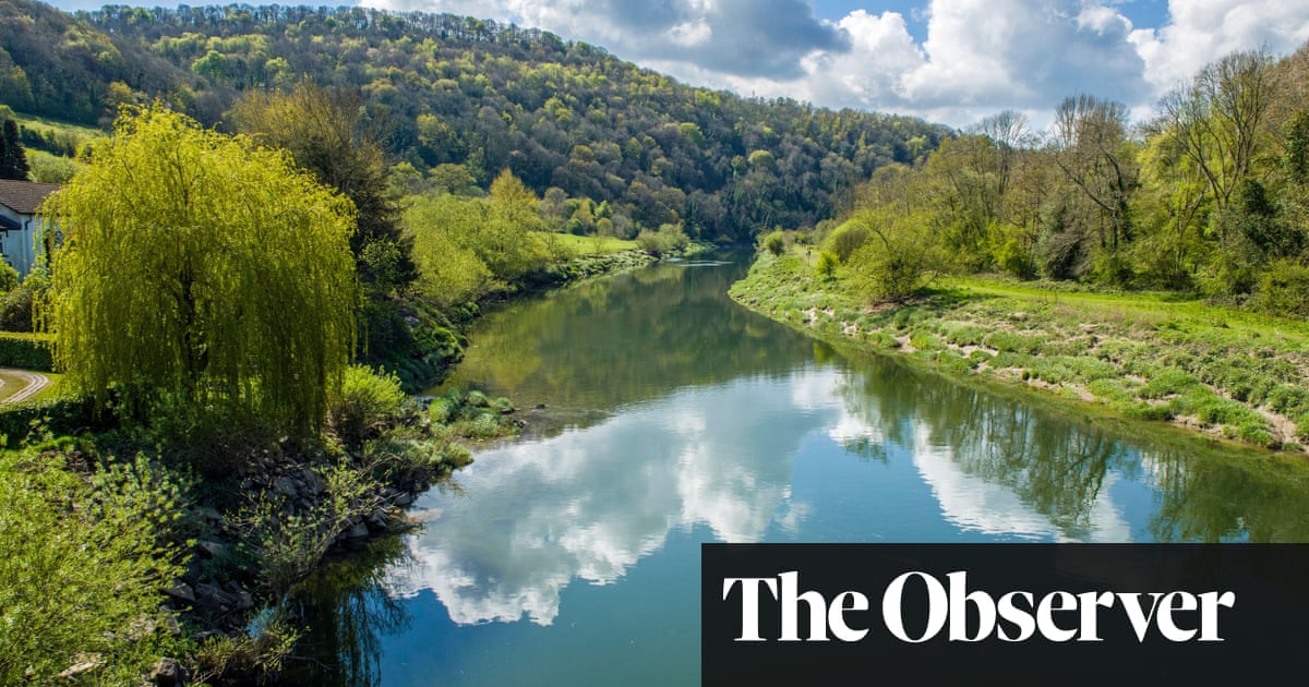 WWF shelved report exposing River Wye pollution ‘to keep Tesco happy’ | Pollution | The Guardian
