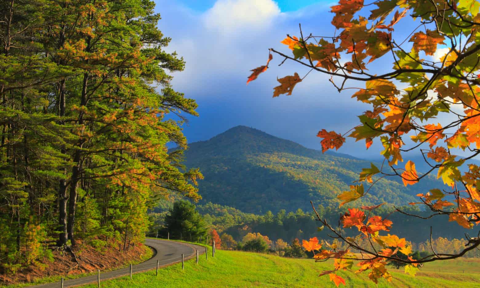 Loop Road, Cades Cove.