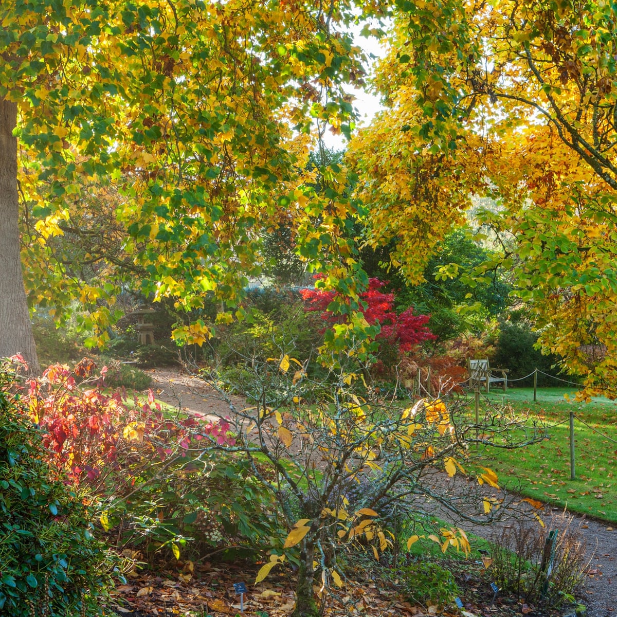 Lady Anne Berry Obituary Gardens The Guardian