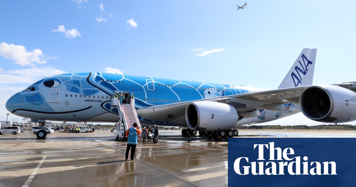 Slow Moving Turtle Delays Five Planes At Japan Airport Japan The Guardian