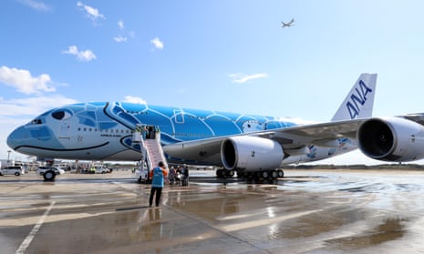 A Nippon Airways' (ANA) Airbus A380 plane decorated with images of sea turtles. A turtle has caused havoc at Narita international airport.