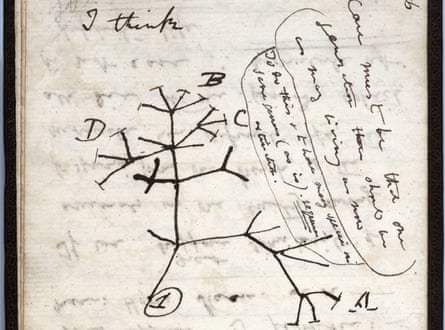 The 1837 ‘Tree of Life’ sketch on a page from one of the lost notebooks of British scientist Charles Darwin.