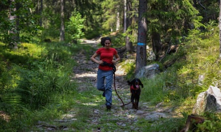 Woman walking in the forest with a Gordon Setter
