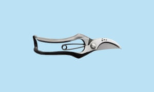 Japanese secateurs