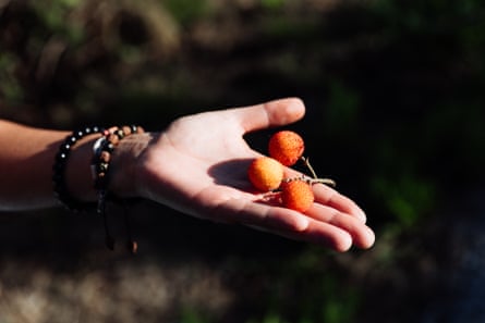 Sofia Carmo shows the fruit of the strawberry tree, known as ‘medronho’ in Portugal