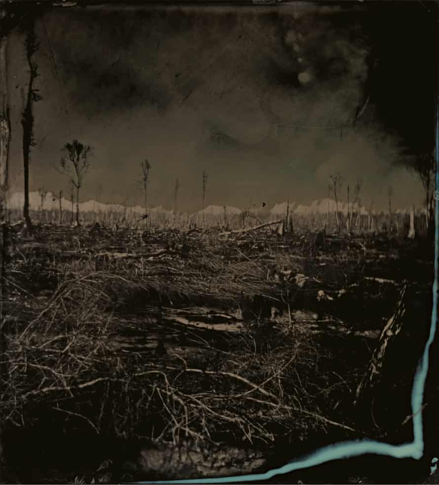 Blackwater 3 2008-12 by 2021 Prix Pictet winner Sally Mann.