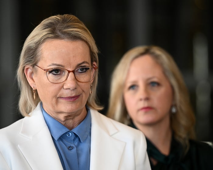 Sussan Ley faces emboldened conservative backbench after Hastie’s resignation, Liberal MPs warn