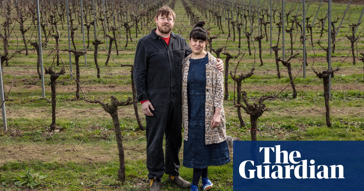 ‘It’s a sun trap’: climate crisis brings boomtime for British wine  | Food & drink industry | The GuardianBack to homepage