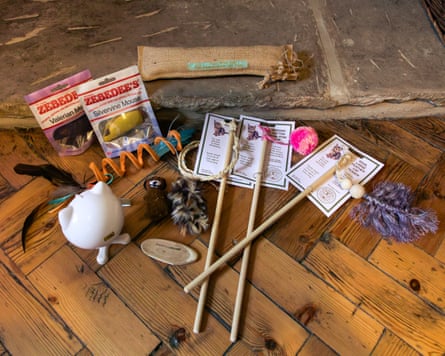 An array of cat toys photographed from above, laying on a tiled wooden floor.