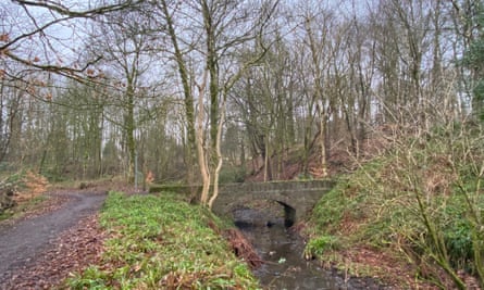Woodland and lade in the Colzium Lennox estate
