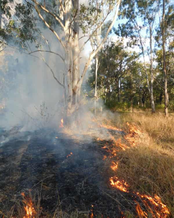 Right Fire For Right Future How Cultural Burning Can Protect Australia From Catastrophic Blazes Australia News The Guardian