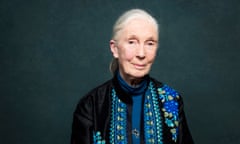 Dr Jane Goodall. London. Photograph by David Levene 27/10/17