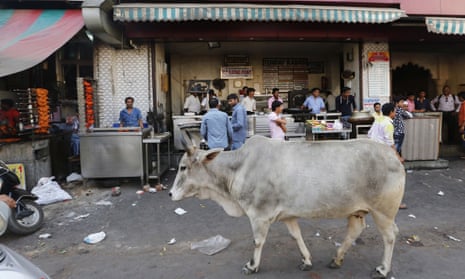 A cow walks in front of a kebab shop in Lucknow, India