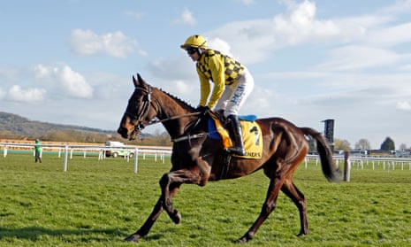 The Gold Cup winner Al Boum Photo is rated at 173, a drop of 2lb on last year’s rating.