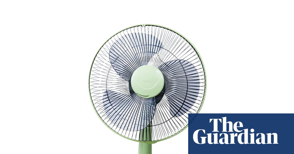 Houseplant hacks: can a fan help plants repel pests?