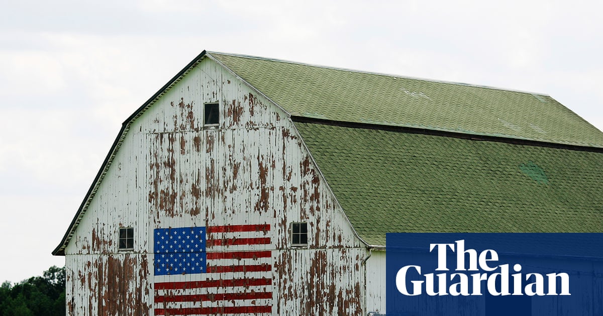 Buckeye by Patrick Ryan review behind the American dream