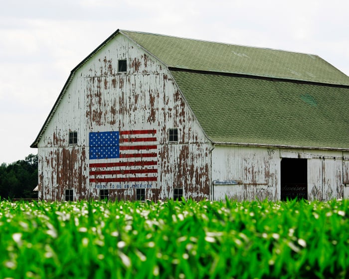 Buckeye by Patrick Ryan review – behind the American dream