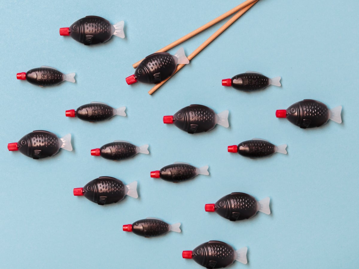 bento box soy sauce fish sauce,sauce Bottles 20pcs2sets. Made of polyethylene.Bento Kitchen Lunch box.Made in Japan How to Make Bento From