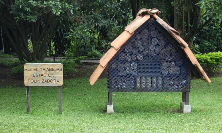 Curridabat has been transformed from an unremarkable suburb of the Costa Rican capital, San Jose, into a pioneering haven for urban wildlife.