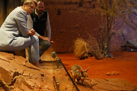 Minister for the Environment and Water Tanya Plibersek with an endangered Greater Bilby.