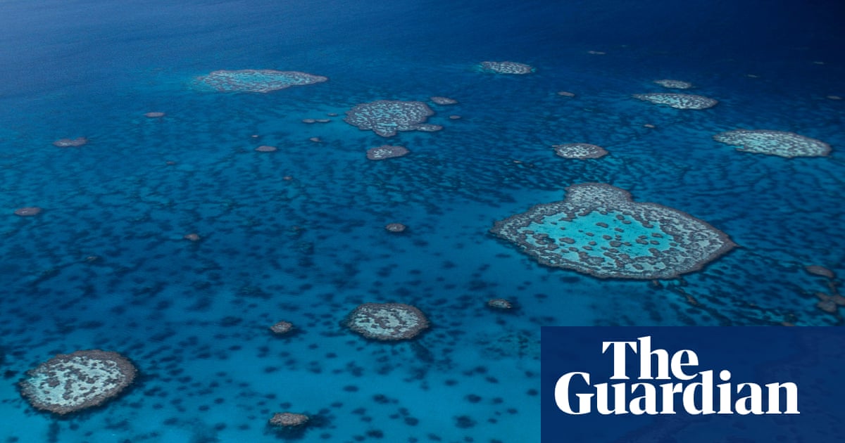 Shark attack: man dies on Great Barrier Reef in far north Queensland