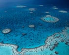 Shark attack: man dies on Great Barrier Reef in far north Queensland