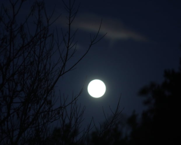 The moon rising in South London