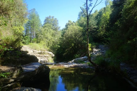 A calm swimming pool winds between rocky banks through a wooded gorge near Saint-Hilaire-de-Lavit