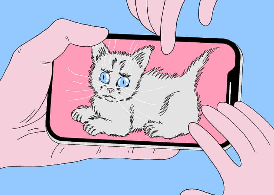 Tim Dowling I Fear We May Be Getting A Kitten Or Worse A Corgi Life And Style The Guardian Tim Dowling I Fear We May Be Getting A Kitten Or Worse A Corgi Life And Style The Guardian