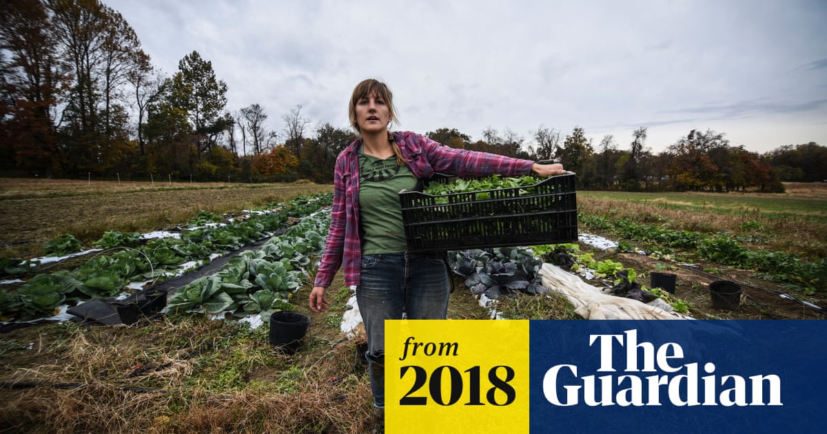 Back to the land: are young farmers the new starving artists?