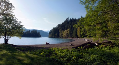 Panoramic view of lake and shore surrounded by forest
