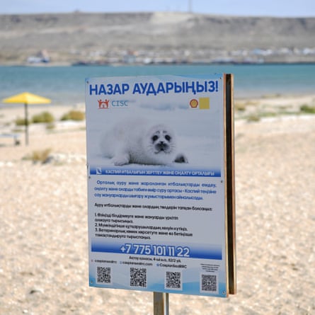 A poster about the endangered Caspian seal on a beach next to the Caspian Sea. 