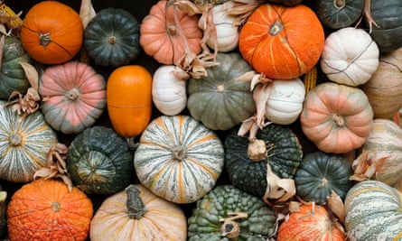 10 Of The Best Pick Your Own Farms For Autumn Produce Food And Drink The Guardian